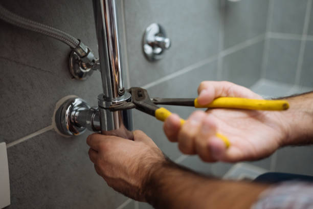 Best Clogged Drain Plumber  in Little Canada, MN